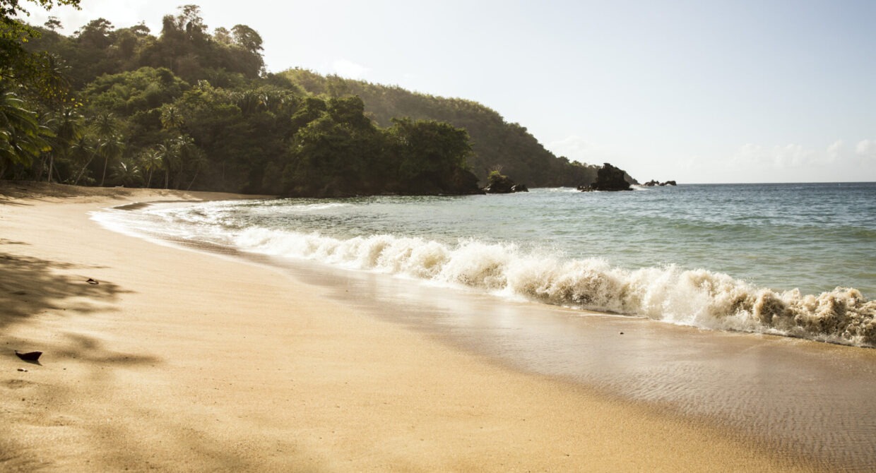 Trinidad & Tobago Photographer