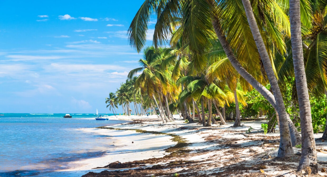 Dominican Republic Photographer
