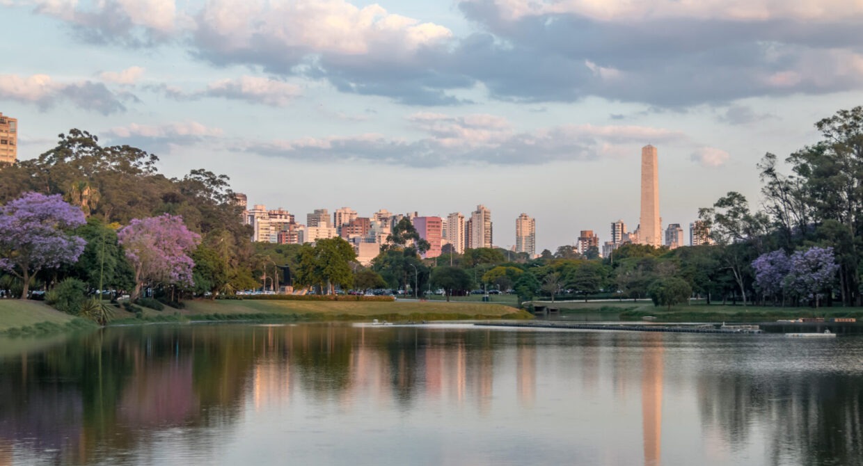Sao Paulo Photographer