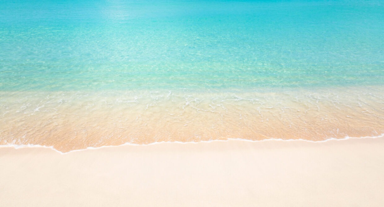 Barbados Photographer