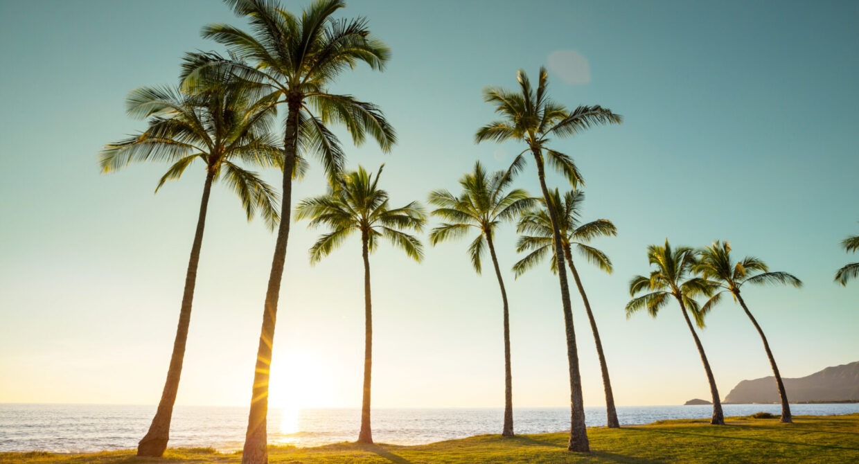 Honolulu Photographer