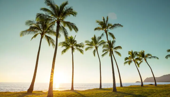 Honolulu Photographer