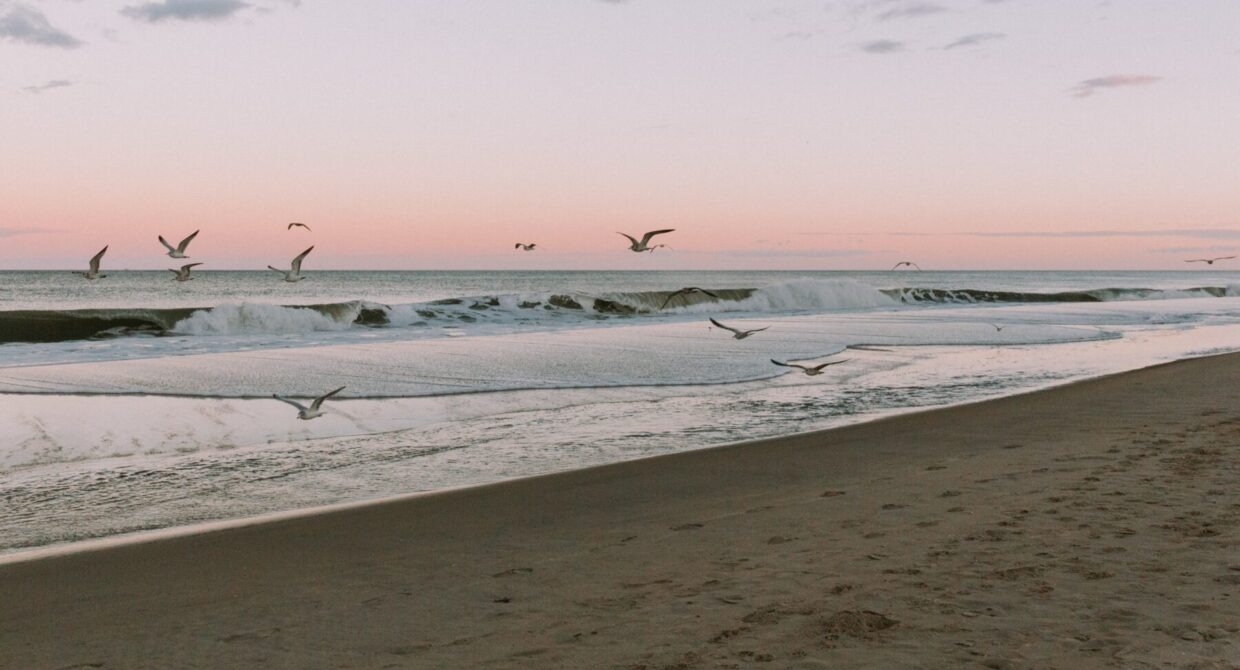 Rehoboth Beach Photographer